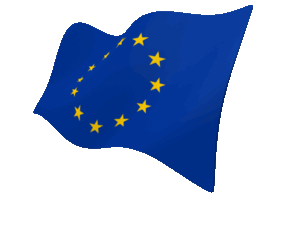 EU Flag 300