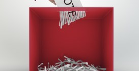 Voter Fraud