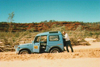 Armstrong Palm Valley Australia