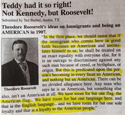 teddy on immigants