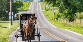 Amish