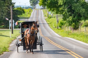 Amish