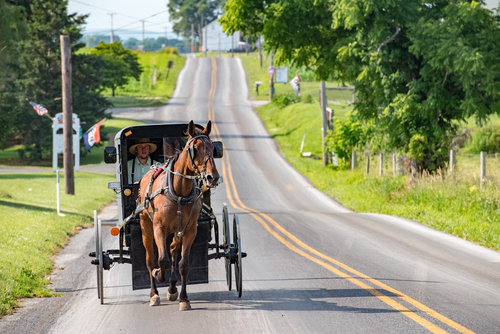 Amish