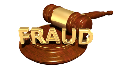 Legal Fraud Judges