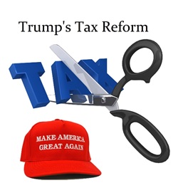 Trump Tax Reform
