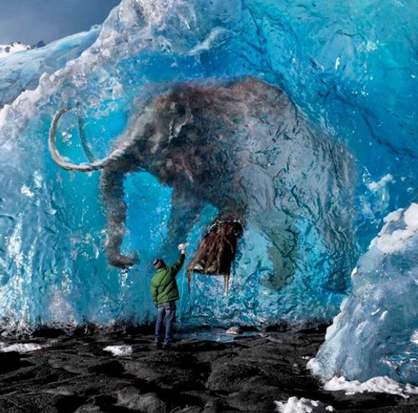 MAMOUTH in Ice