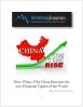 China on the Rise Report - Hard Copy - Image 3