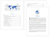 China on the Rise Report - Hard Copy - Image 2