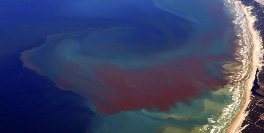 Red Tide 1024x516