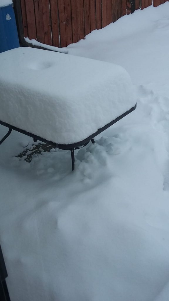 Calgary Snow October 2018 576x1024