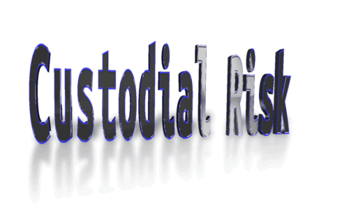 Custodial Risk 1