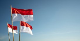 Indonesia Flag