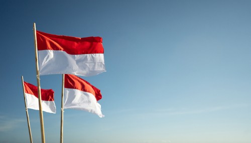 Indonesia Flag
