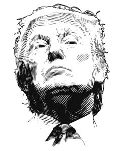 Trump Drawing 250x300