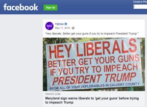 Liberal Get Your Guns 300x218