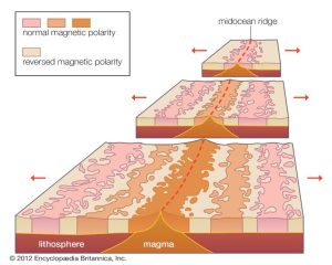 Seafloor 300x240