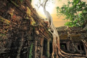 Angkor Wat Detail 300x200