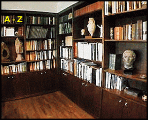 LIBRARY 300x244