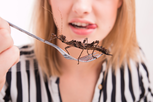 Eat insects