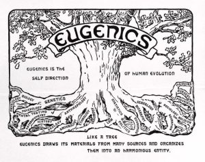 Eugenics 300x237