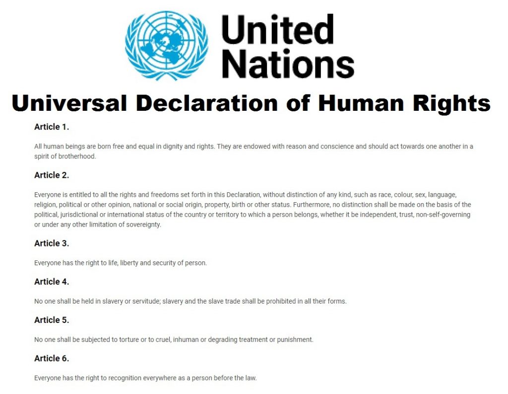 UN Declaration of human rights 1024x793