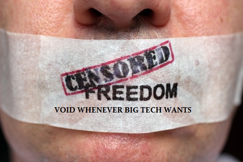 Free Speech Void