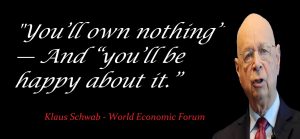 Schwab you own nothing 300x139