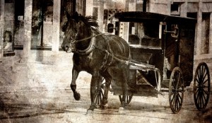 Horse Carriage