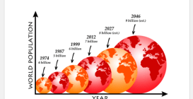 Population Report 2020