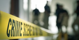 Violent Crime