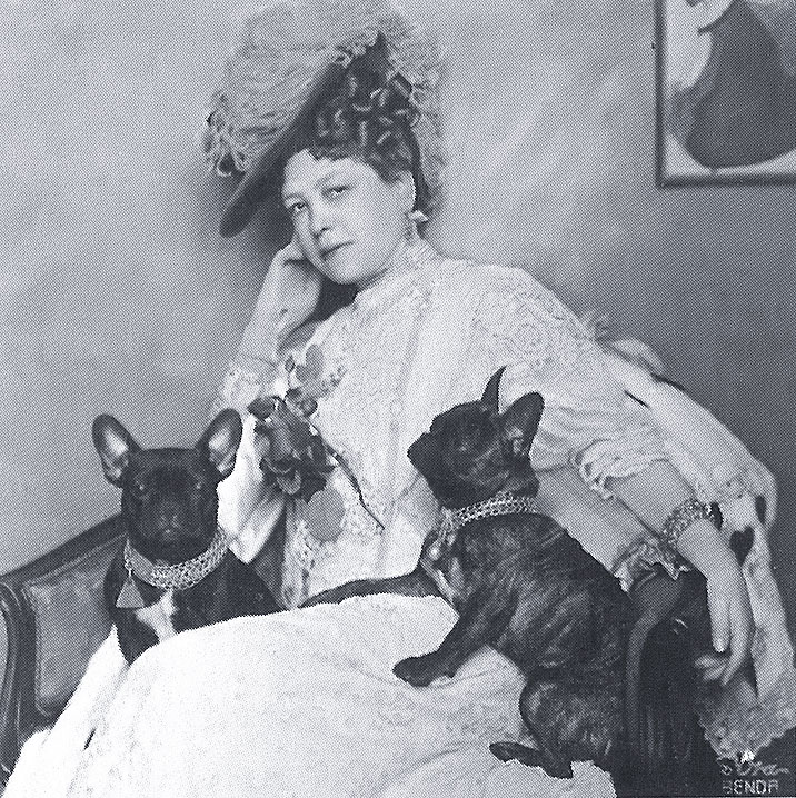 Anna Maria Sacher 1908 French Bull Dog