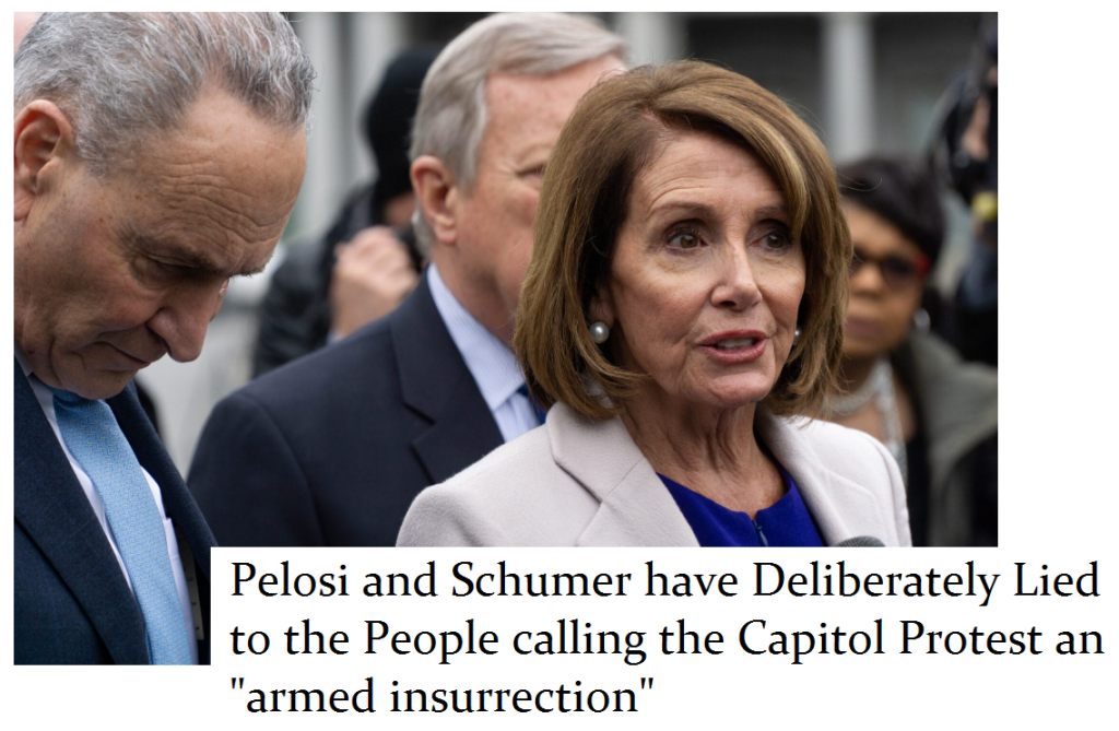 Pelosi Armd Insurrection 1024x669