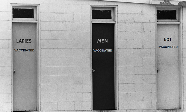 Vaccinated Segregation