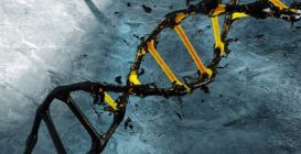 1-Ancient DNA