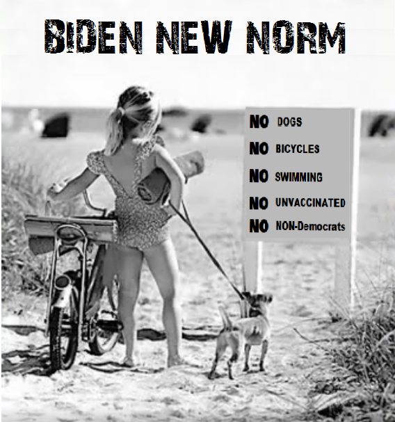 Biden New Norm