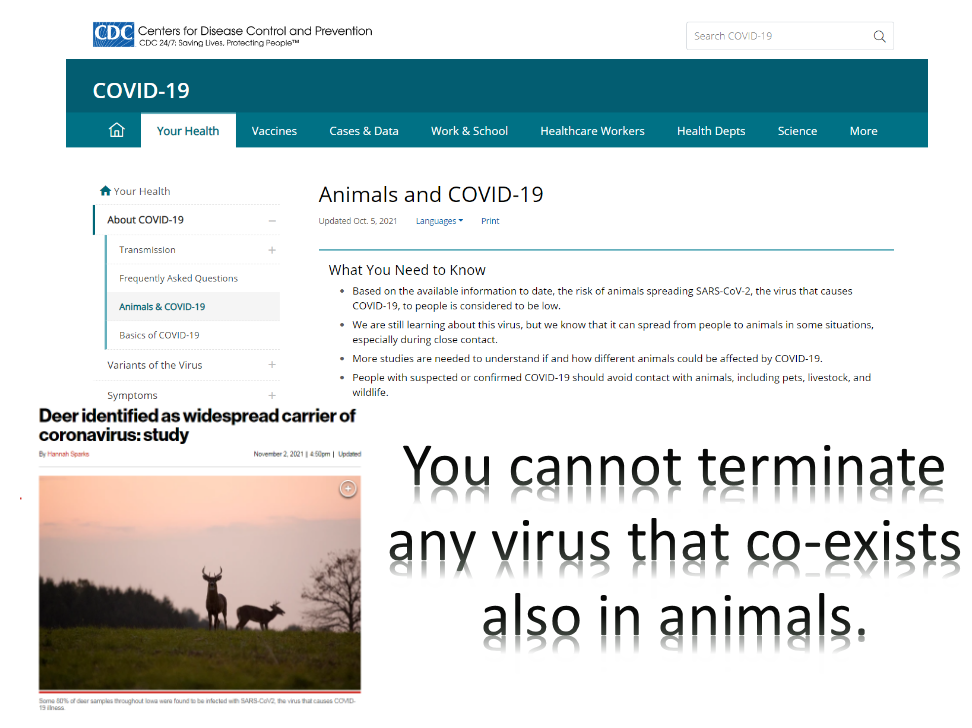 CDC animals with COVID