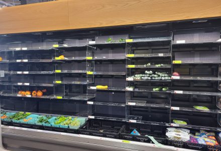 Bare Shelves