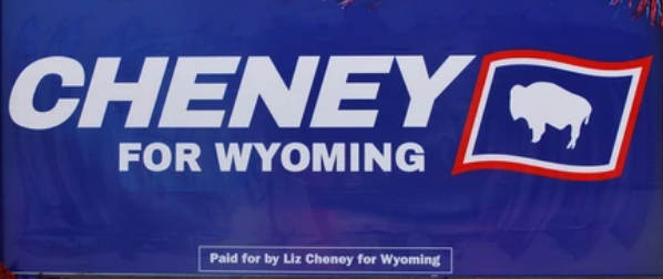 Cheney Liz 3 Banner