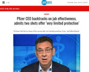 Pfizer_CEO_Vaccines Limited