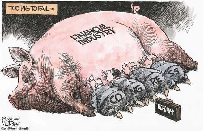 Pig Congress