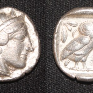 Athenian Owl-1