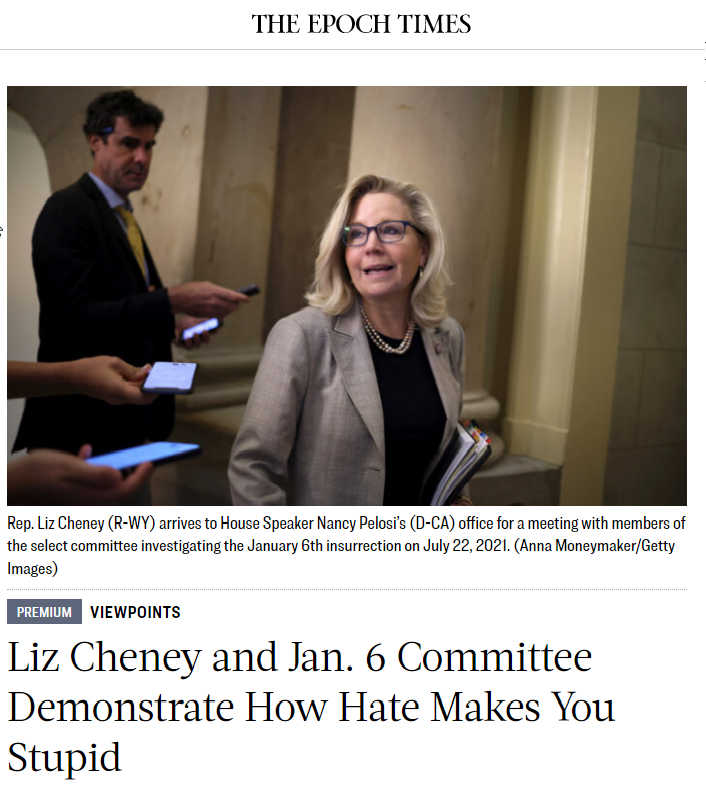 Cheney_How_Hate_Makes_You_Stupid