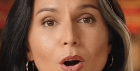 Tulsi Gabbard
