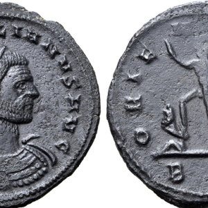 Aurelian Ant