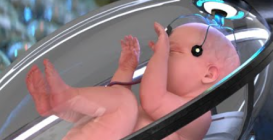 Baby Pod