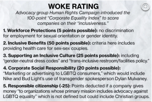 CEI.WokeRating 300x201