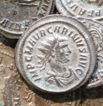 Carinus Silvered