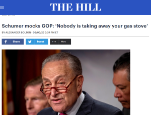 Gas.Stove_.Schumer