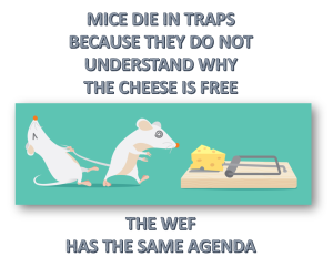 Mice WEF 300x241