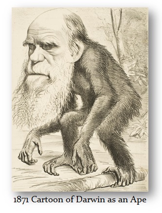 Darwin_as_an_ape_1871